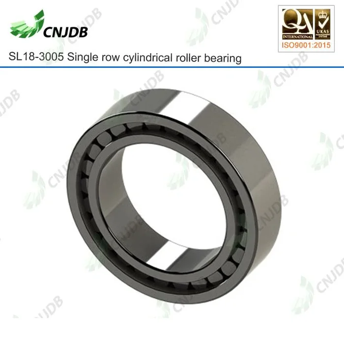 SL18 3005 combined bearing