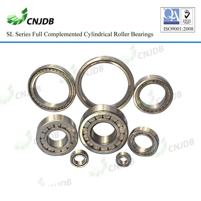 SL18 4860 combined bearing