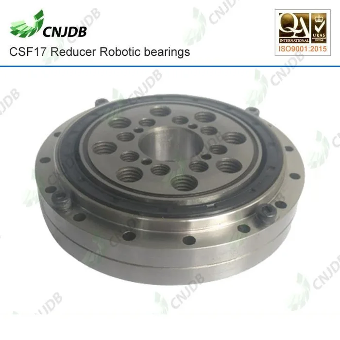 CSF-17 combined bearing